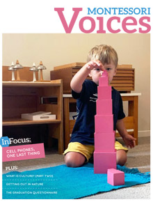 Montessori voices publication
